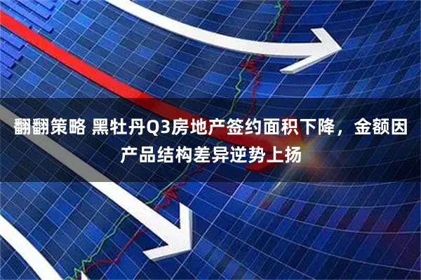 翻翻策略 黑牡丹Q3房地产签约面积下降，金额因产品结构差异逆势上扬