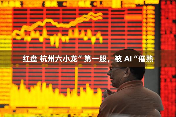 红盘 杭州六小龙”第一股，被 AI“催熟
